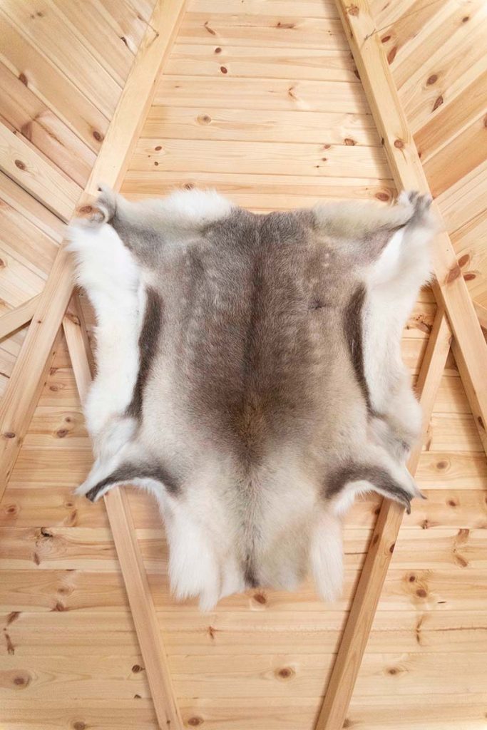 reindeer skin